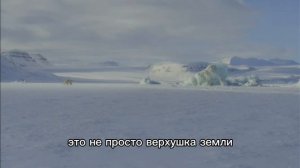 Видео для "Артека" от Слуницина Ильи