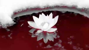 Футаж. Ясный мой свет