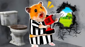 Мистер Хомяк мультик. Мультик для детей/видео про Хомяков