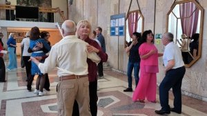 Белые ромашки.... 11.04.26.