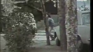 Кетино ДЖАВАШВИЛИ ( Ёж 1979 Zgharbi 1979