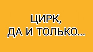 Пасхальный кулич Домосёру от Давилки!