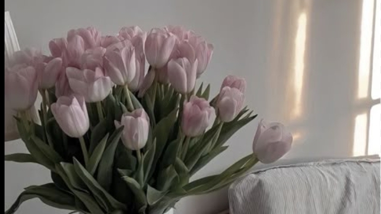 отжимаюсь на коленях🤔