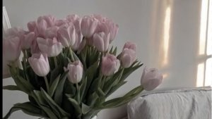 отжимаюсь на коленях🤔