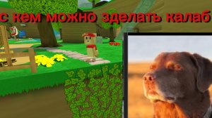 с кем мне делать калаб?