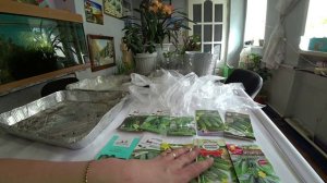 Мои секретики в посеве огурцов