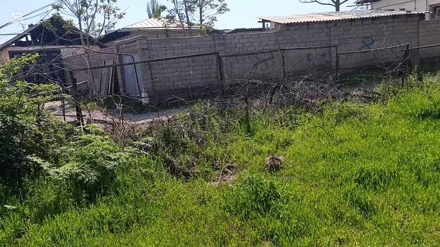 Продается дом с участком 8 соток в Уртасарае.Газ,свет,вода, асфальт,вся инфраструктура.Влог#289