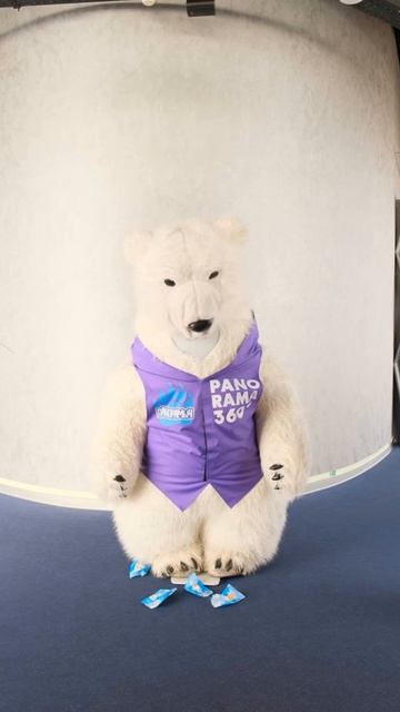 ПАНОРАМЫЧ СТАЛ ТОЛСТЫМ 