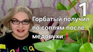 1 часть. Горбатый получил по соплям после медовухи❗️