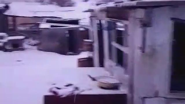 Снег на голову ❄️❄️❄️