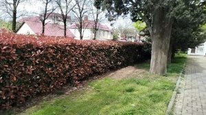 Погода в Адлере 11.04.2026