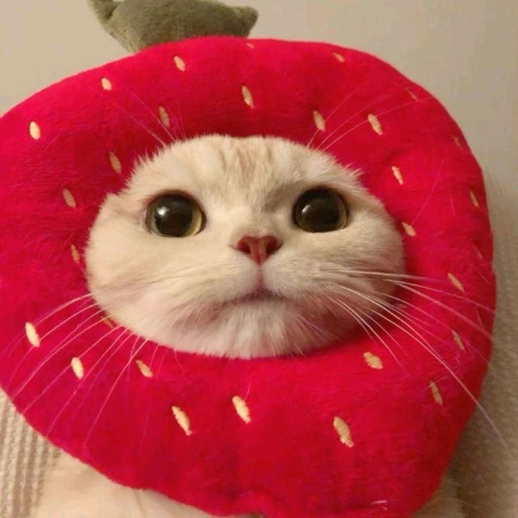 ррррррррвр