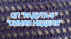 СП "РАДУГА-5"/ "СИНЯЯ НЕДЕЛЯ"/ РУБАШКА КРЮЧКОМ/ УЧАСТНИК 11