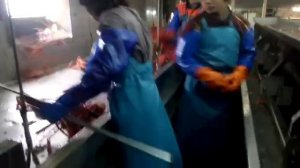 Обработка  и Разделка краба в цеху . Обучение