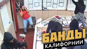 Как ФБР ловило банду грабителей