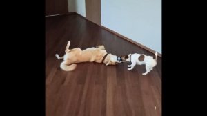 Мы в Москве, июль 2021 год.