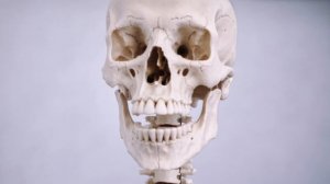 Фокусы не пройдут. ДимекоУрал