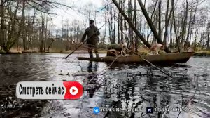 Мой рыболовный лагерь во время шторма с моим четвероногим другом