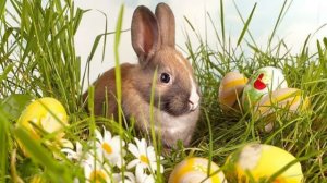 Разбор Терминов Волшебной Культуры от 11.04.26 Часть 2