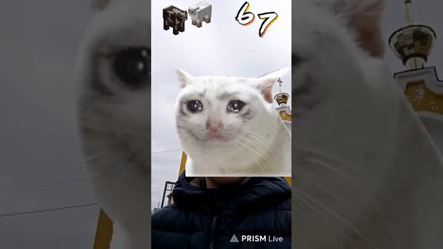 Ждем