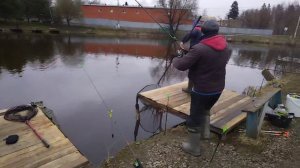 Светлые Горы Форель12 11.04.2026г.