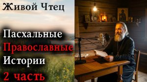 ОНА ВЫГНАЛА МАТЬ ПЕРЕД ПАСХОЙ... Пасхальные Православные Истории 2 часть