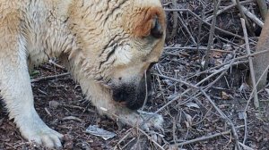 Рыбалка с подругой