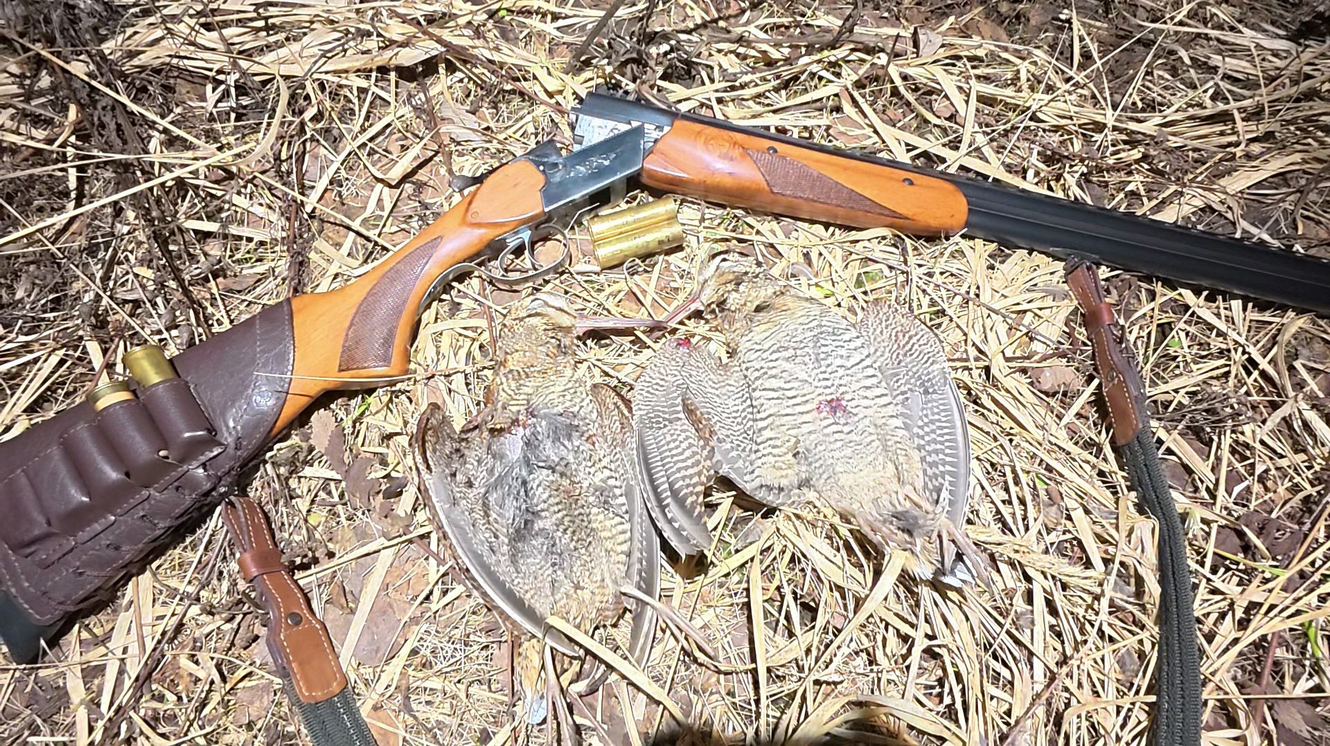 Вальдшнеп, открытие. ТОЗ-34, латунки и дымарь.