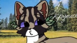 Реакция на Магическую Лапку.