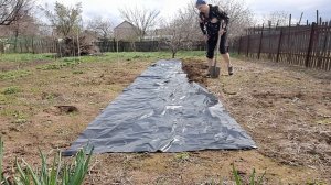 11. 04. 26  #влоговый #сад огород своими руками #огородныедела #грядкаклубники 🍓🍓