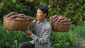 Собираю урожай сладкого картофеля, отвариваю его и несу на рынок продавать. Жизнь во Вьетнаме