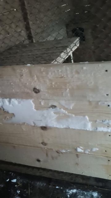 Доски купили, в вольерах слабые места заколотили, но это нге все что нужно собакам