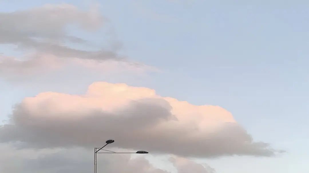 Играю с лясиком