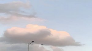 Играю с лясиком