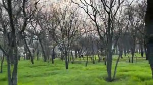 ОДЕССА 11 АПРЕЛЯ 2026. ШЕЙХИ ОАЭ ПОПРОСИЛИ УКРАИНСКИХ СПЕЦИАЛИСТОВ ПВО СВАЛИТЬ! БУСИФИКАЦИИ - БЫТЬ!