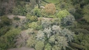 Природа России