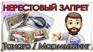 Нерестовый запрет 2026. Мормышинг. Танаго.