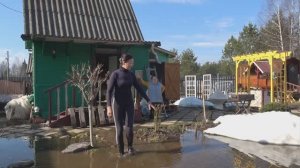 6 соток 1 апреля 2026 года. 1 часть. Пикировала томаты в теплицу. Открыла туи. Обрезалы розы.