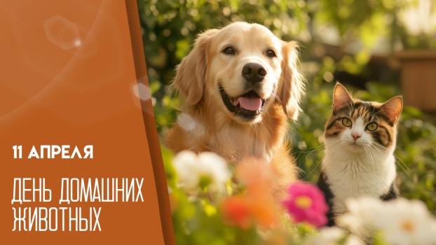 11.04.26 - День домашних животных