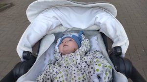 Нинель на прогулке