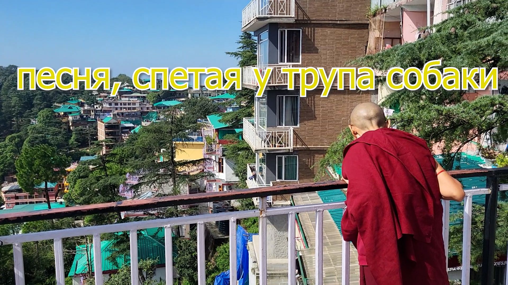 Песня, спетая у трупа собаки