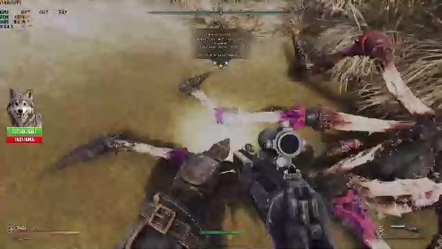 PIONER Зарядка компаса ЯНЬ