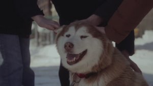 ВсОШ 2026 по физике. Новый Уренгой. Итоги.