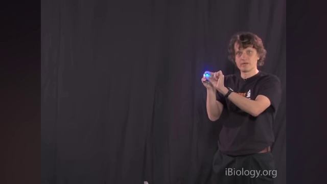 Флуоресцентная микроскопия введение .mp4