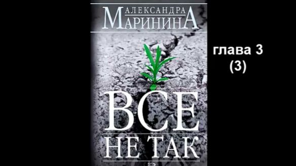 А. Маринина_Все не так_глава 3 (3)