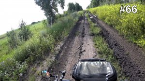 66. Оводьё преследует всю дорогу! 😀 Кирзинский заказник.