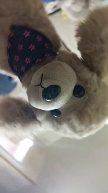 я теперь плюш дог блогер 😮😮😮😮😮