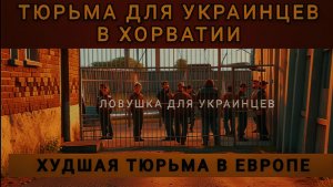КОЛОБОК: ВОРОВАТЫХ ШУМЕРОВ СОДЕРЖАТ В ТЮРЬМАХ, ГДЕ ХУЖЕ ЧЕМ В БЕЛЬГИЙСКИХ ЗООПАРКАХ ДЛЯ НЕГРОВ