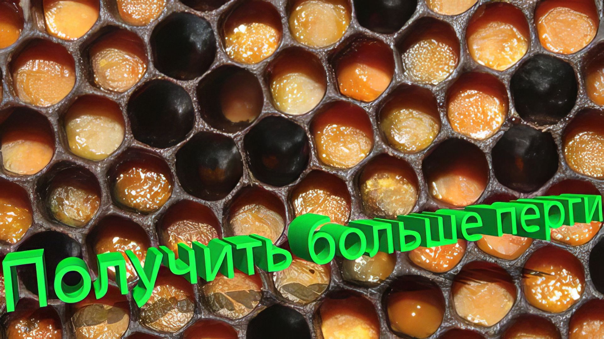 Секретная подкормка профессора Кашковского для РЕКОРДНОЙ перги 🚀