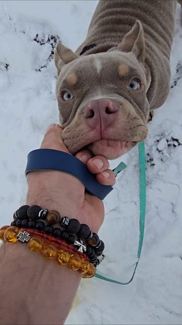 Доброе утро 🌄